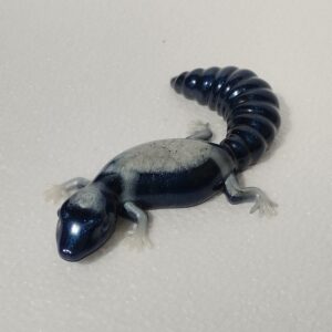 Lézard Décoratif en Résine Époxy Bleu Nuit et Blanc - Pièce Unique